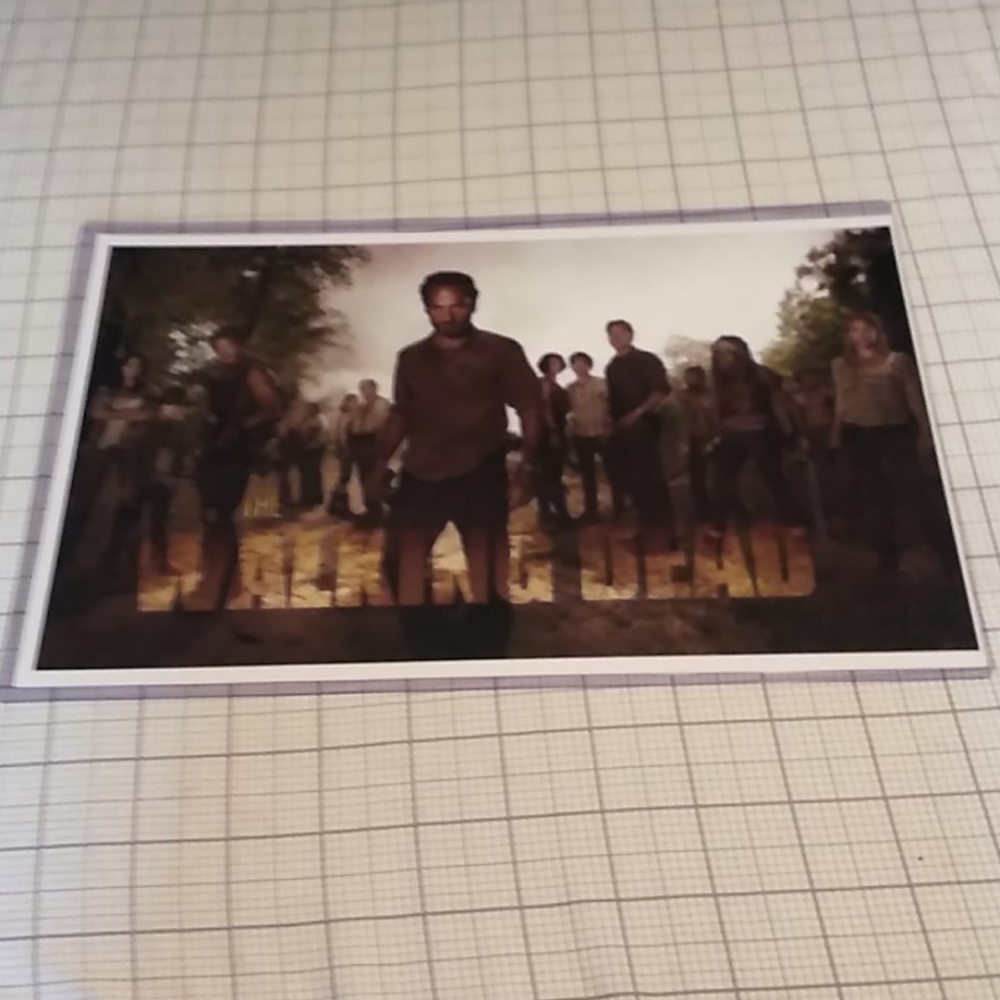 The Walking Dead Collectable Card In Plastic Case